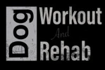 Dog Workout and Rehab